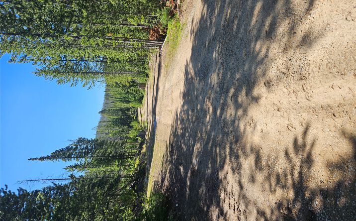 7524 Lower Telegraph Creek Road, Elliston