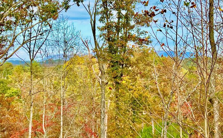 117 Ridge Wood Trail, Ellijay