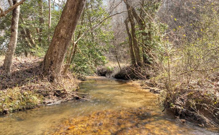 5 AC Pack Creek Road, Blue Ridge