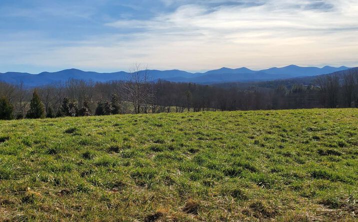 LT 53 The Arbor, Blairsville