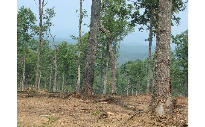 LOT35 Hideaway Hills, Murphy