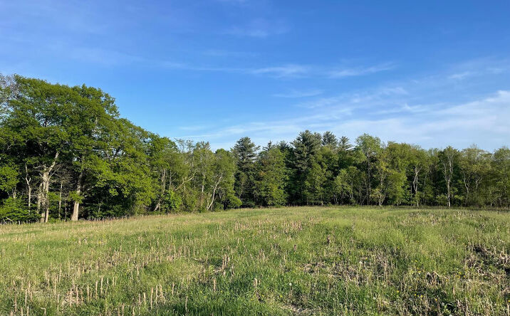 County Route 21, Hillsdale