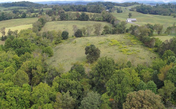 TBD South Fork River Road, Glade Spring