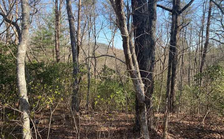 LOT31 Cohutta Overlook Trail, Blue Ridge