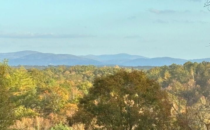 100 Mt. Springer Road, Ellijay