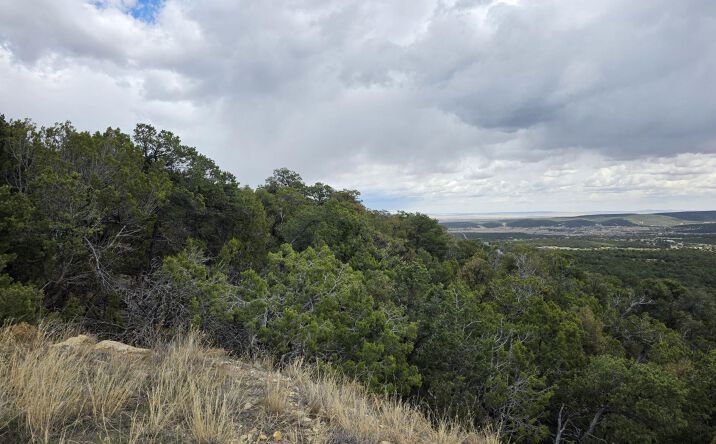 196 Via Sedillo Road, Tijeras