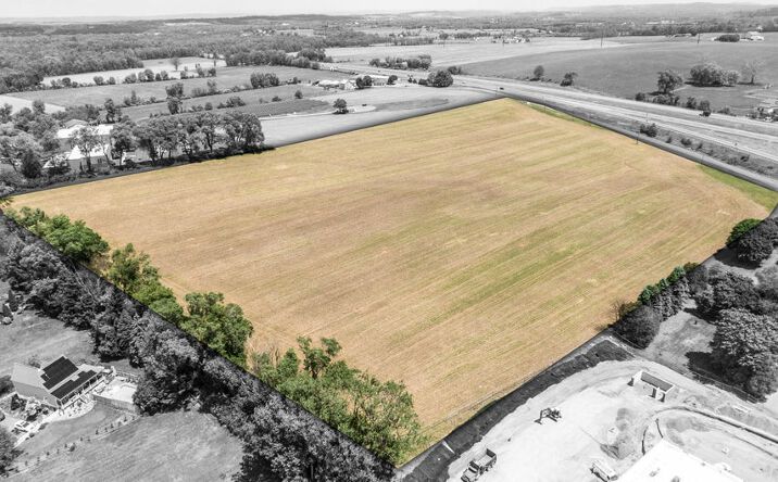 WOLFE Road, Milton