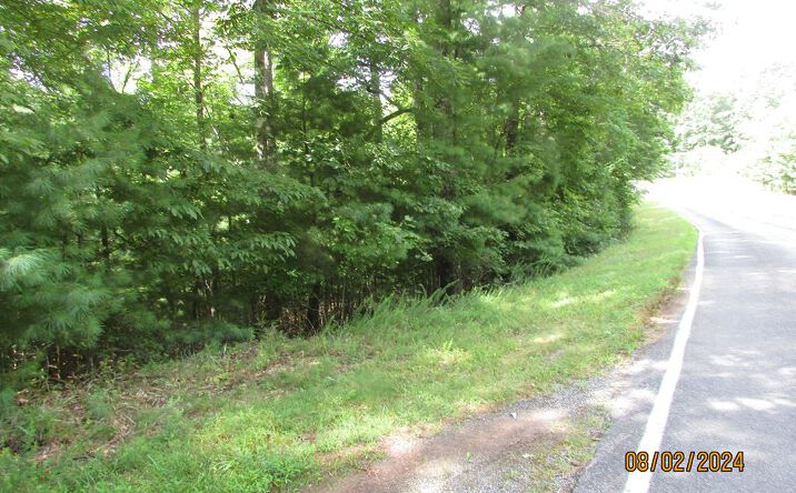 Carter Cove Road, Hayesville