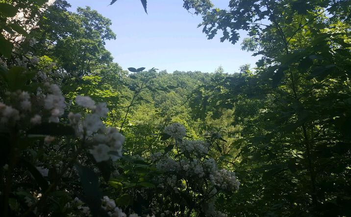 Spradlin Road, Union Twp