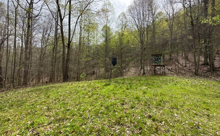 Nauvoo Pond Creek Road, Washington Twp