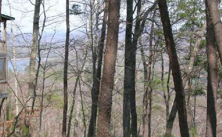 9 Ridges Over The Lake, Blue Ridge