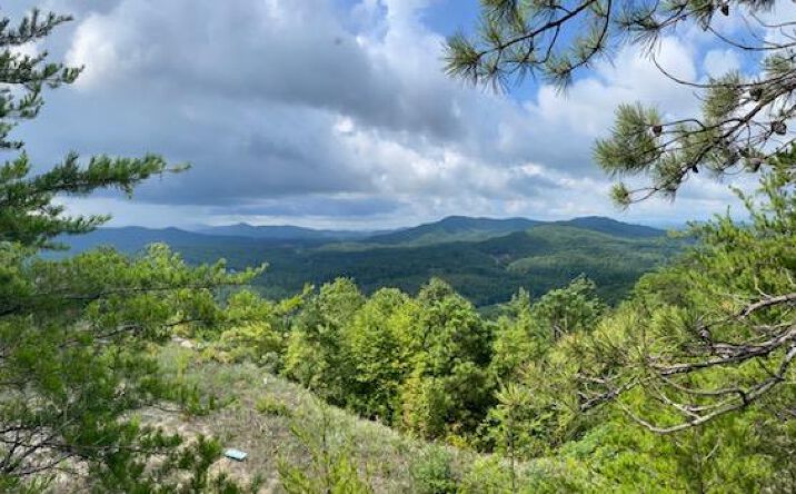 Lot 30 Locust Loop Lane, Murphy