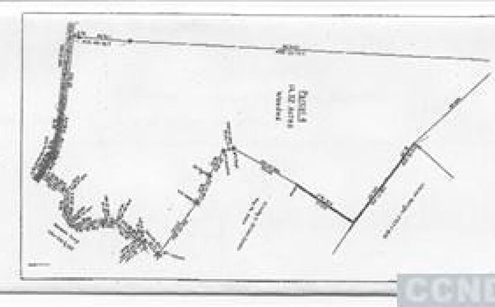 Stonewall Road, Austerlitz