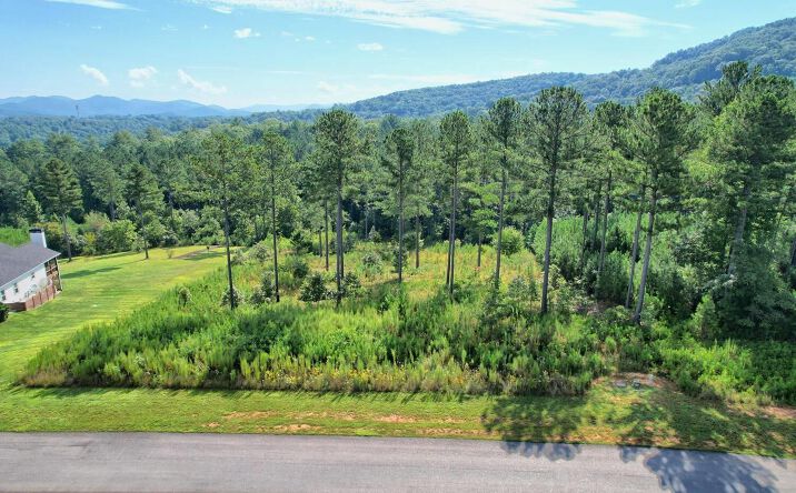 LT319 The Cove @ 1300, Blairsville