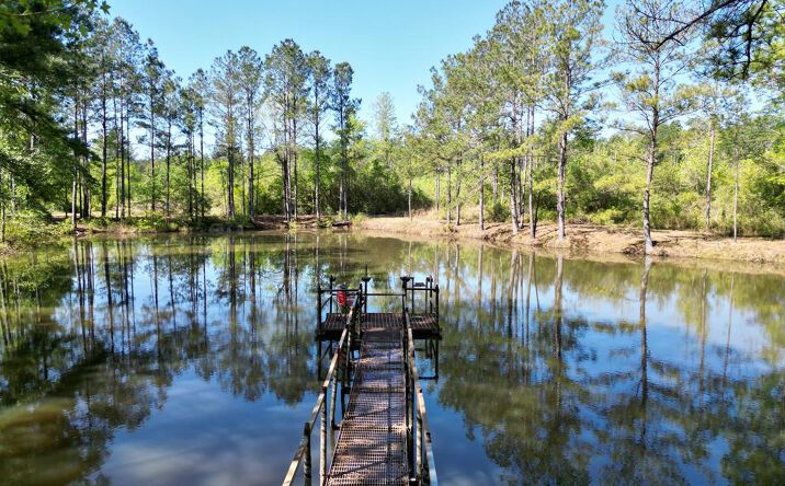 26.54 Hilt Fornea Rd, Poplarville