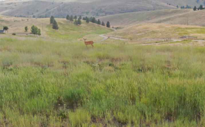 NHN Deemer Creek Road, Plains