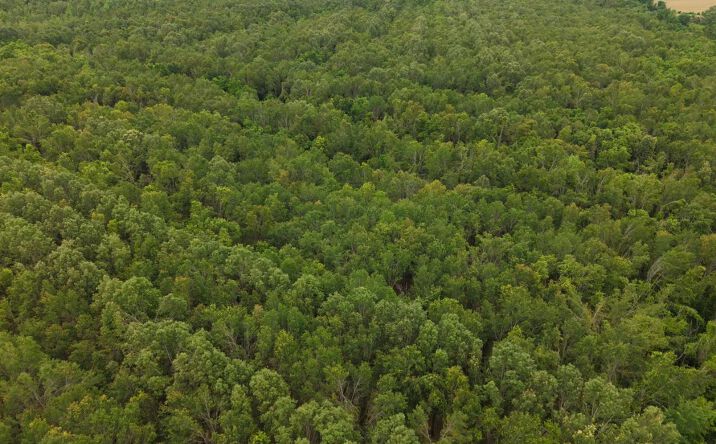 181.48 Acres in Richland Parish, Delhi
