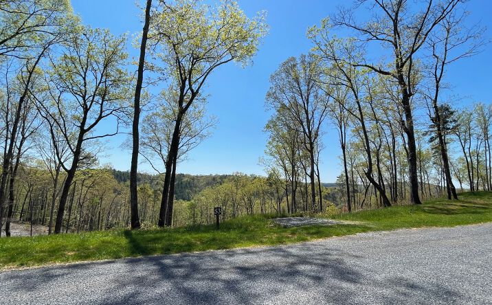 53 S Jakes Landing Way, Ellijay