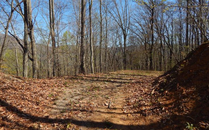 #1-3&2-3 Burnt Leaf Lane, Hayesville