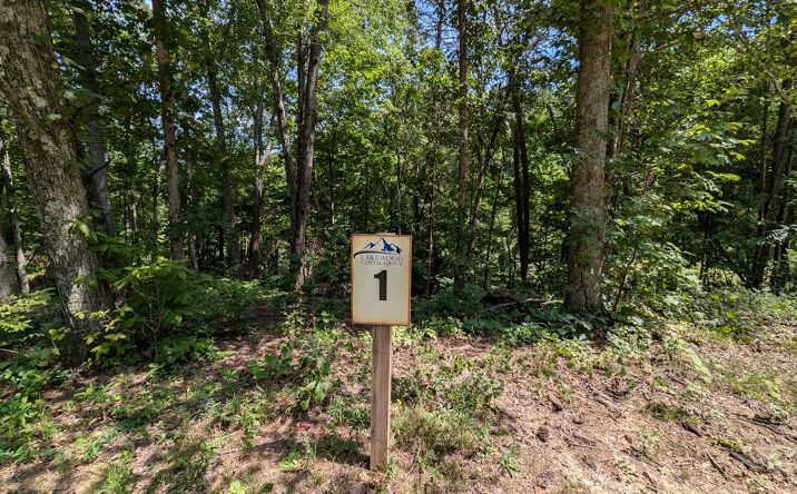 Lot 1 White Oak Circle, Blue Ridge