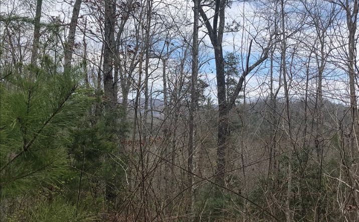 4 Hf Lyons Road, Hiawassee