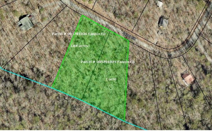 Laurel Circle, Blue Ridge