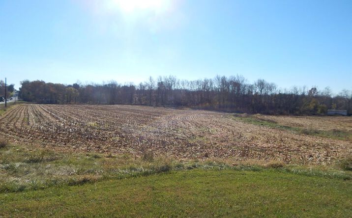 38.624ac W St Rt 73, Chester Twp