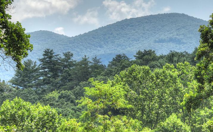 Lot 4 Greystone Trace, Ellijay