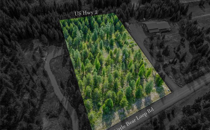 NHN Little Bear Loop, TROY