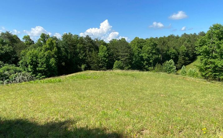 LT 18 Pond Overlook Lane, Morganton