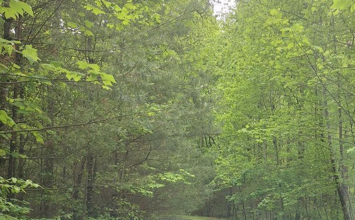 Lot 14 Noontootla Ridge Court, Blue Ridge