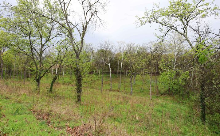Lot 12, 13, 14 Dorothy Dr, Perryville
