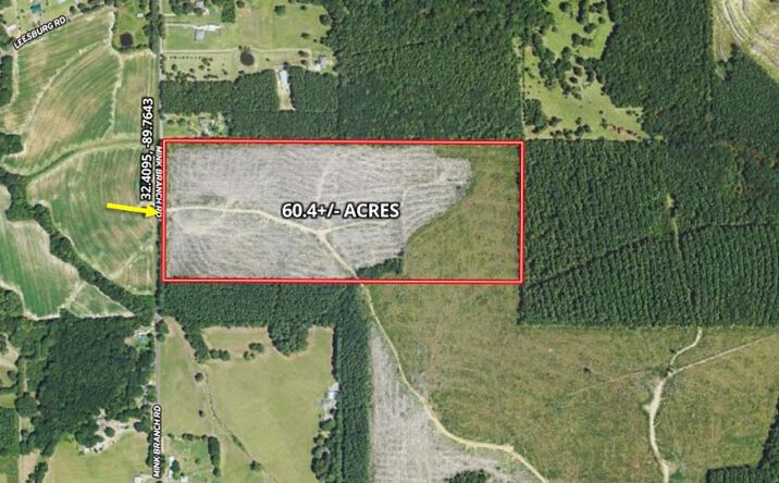 60.4 Acres in Rankin County, Pelahatchie