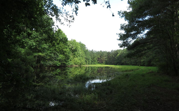 13049 Newton County Martin Road, Collinsville