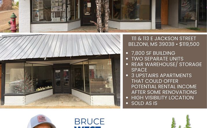 111 & 113 E Jackson Street, Belzoni