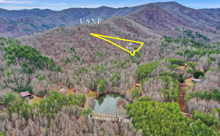 3.01 Hells Hollow Lane, Blue Ridge