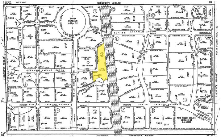 4711 N Chrysanthamum Court, Midland