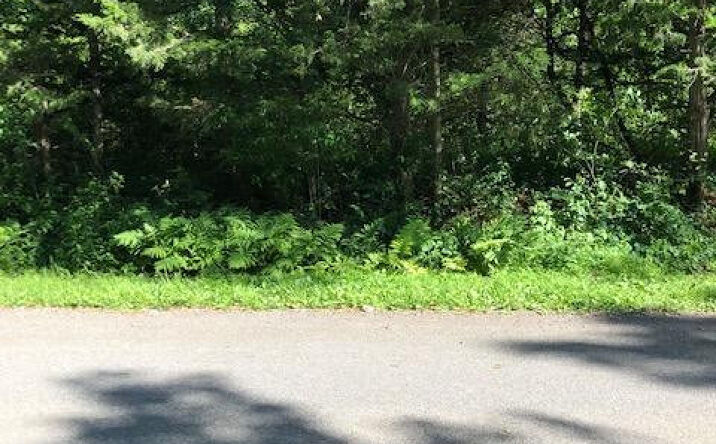 31 Rip Van Winkle Drive, Athens