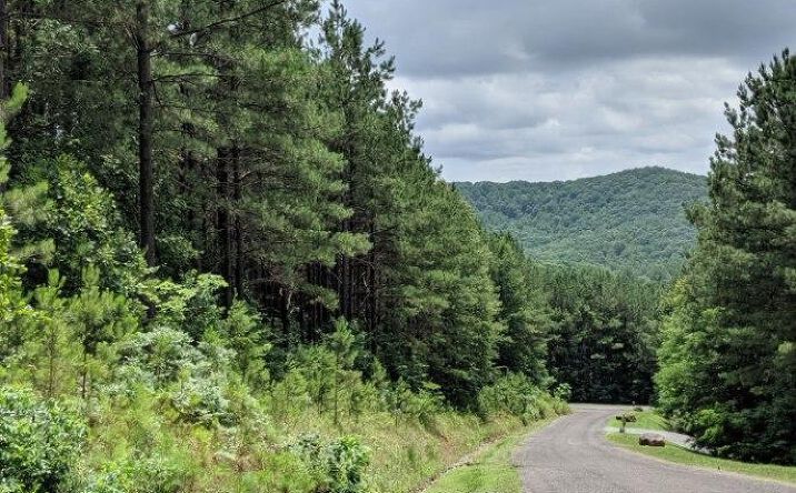 LOT 7 Ridge Top Drive, Ellijay