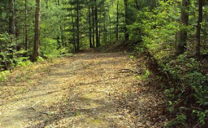1350 Charles Laney Road, Murphy