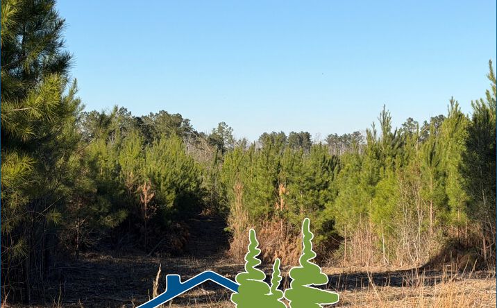 Leming Road, Harrisville