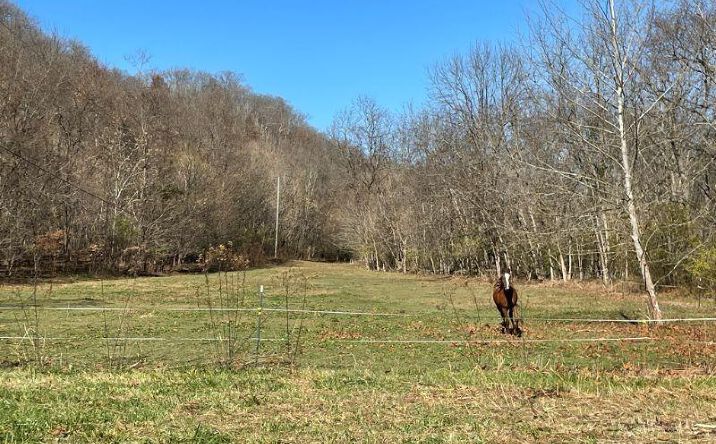 Stringtown Road, Aberdeen