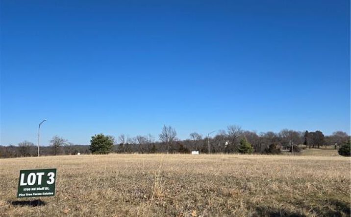1708 NE Bluff Street, Lee's Summit