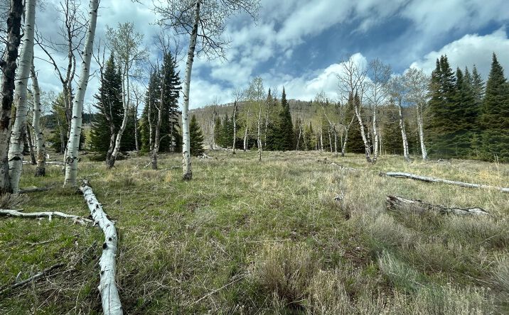 Green's Canyon & Hwy 96, Scofield