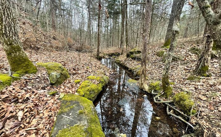 Tomahawk Slab Road, Saint Joe