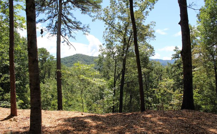 Lot 5J Eagle Fork Trail, Hayesville