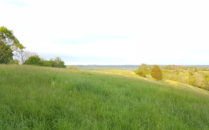 31.869ac Holmes Hill Road, Aurora