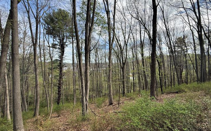 TBD Holly St, Galax