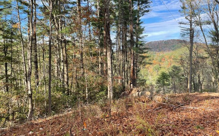 1.9 Acre Bell Camp Ridge Road, Blue Ridge