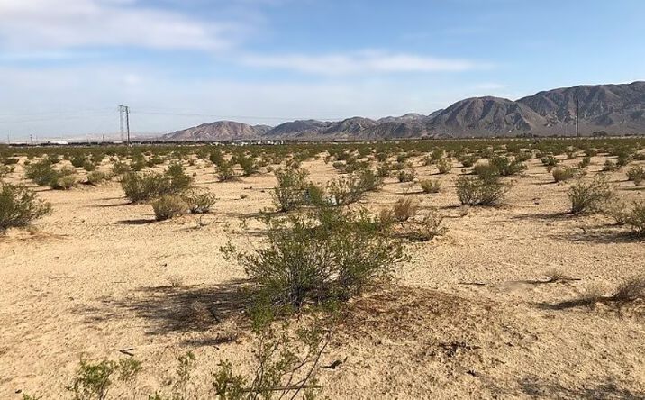 35251 Athletic Field, Barstow